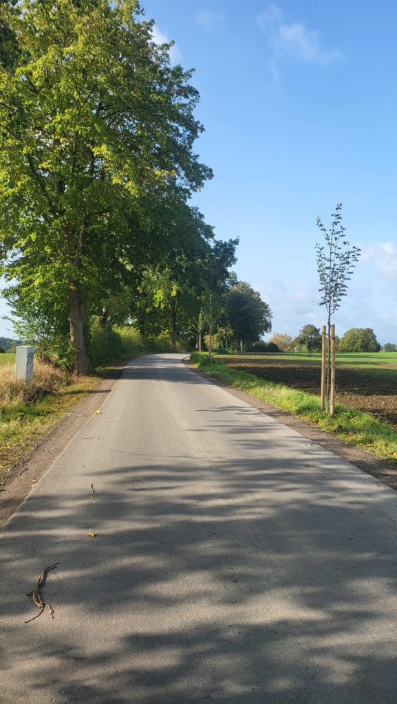 Falkendorfer Weg