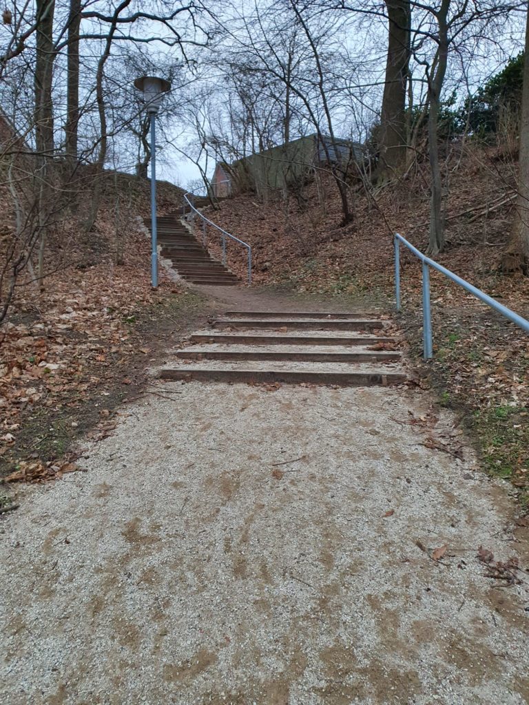 240204 Treppe Wiesengrund Bild 1