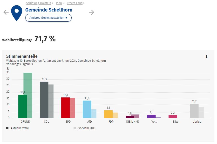 20240609 Europawahl Schellhorn Ergebnis
